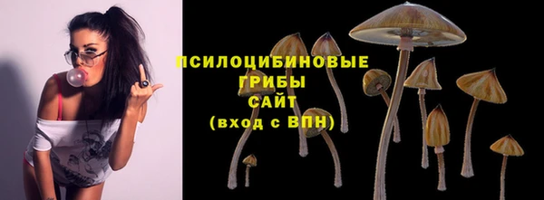 а пвп мука Балабаново