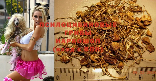 бошки Баксан