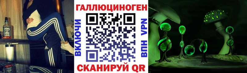 Псилоцибиновые грибы Cubensis  Белёв 